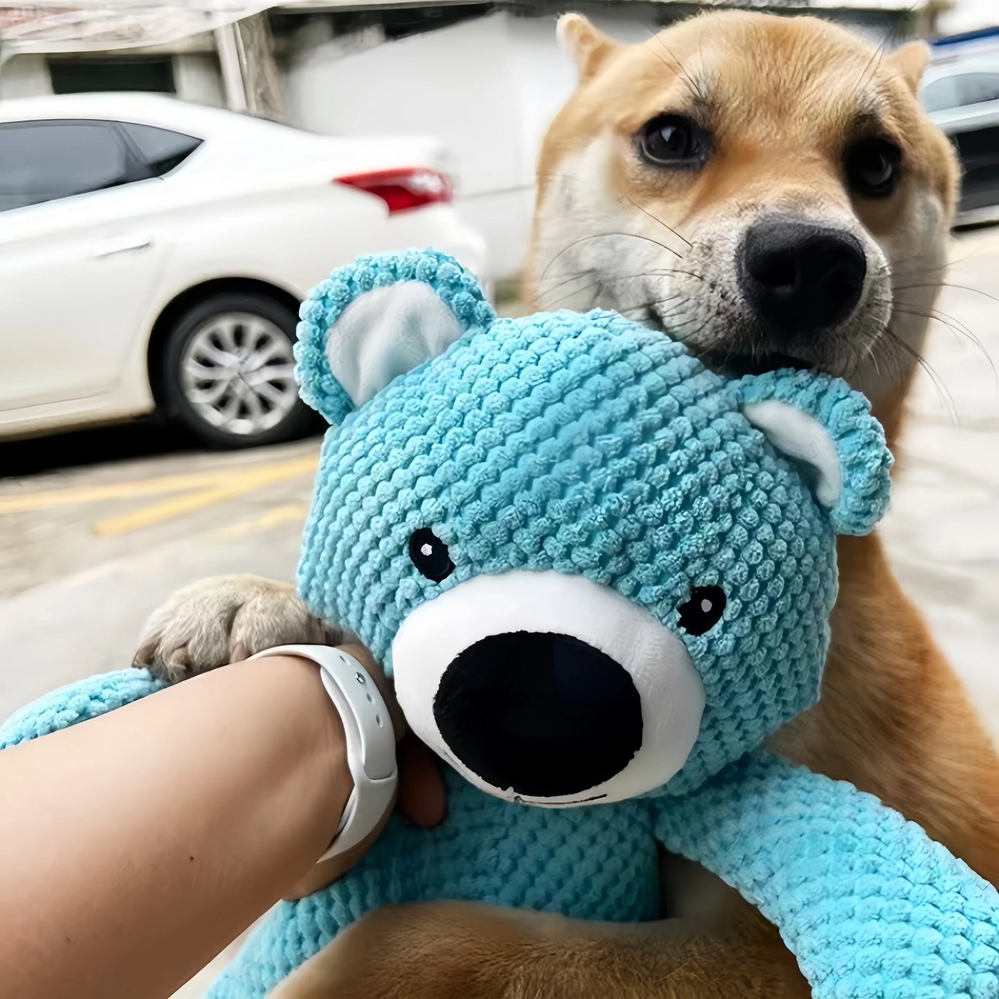 Bear Animals Shape Dog Plush Toys Dog Sound Squeaky Toys  Pet Soft Plush Chew Molar Training Toy Teeth Dental Toys Pet Supplies