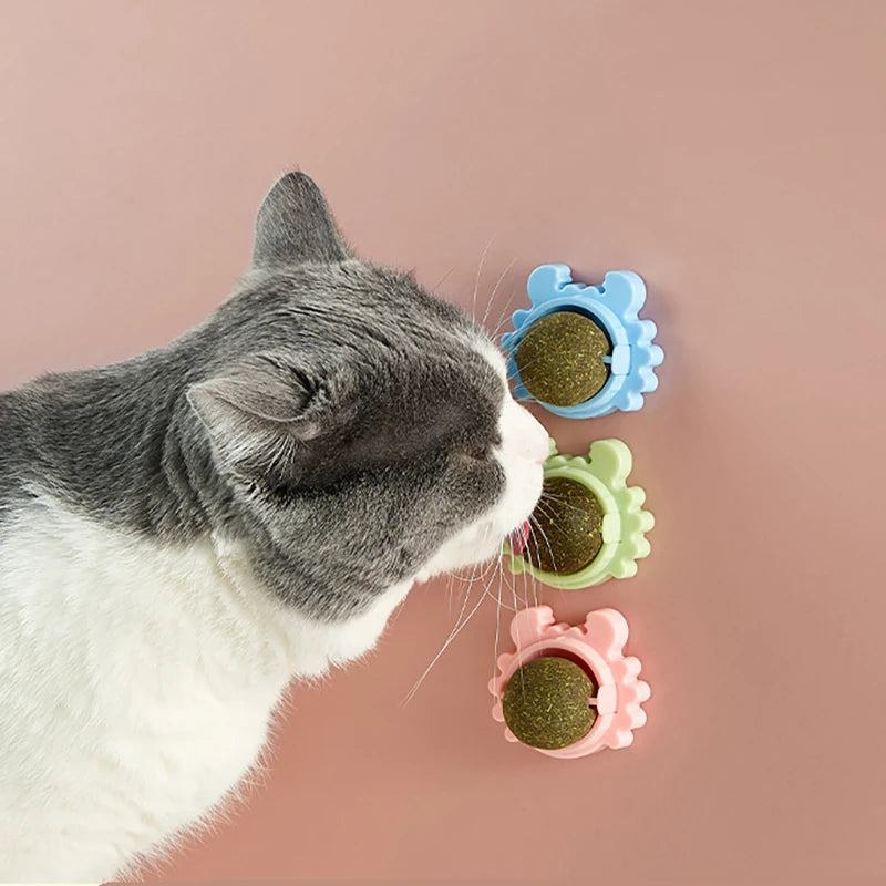 Cat Toys Natural Catnip Rotatable Catnip Wall Ball  Licking Snacks Healthy Nutrition Ball Teeth Cleaning Catnip Toy Pet Supplies