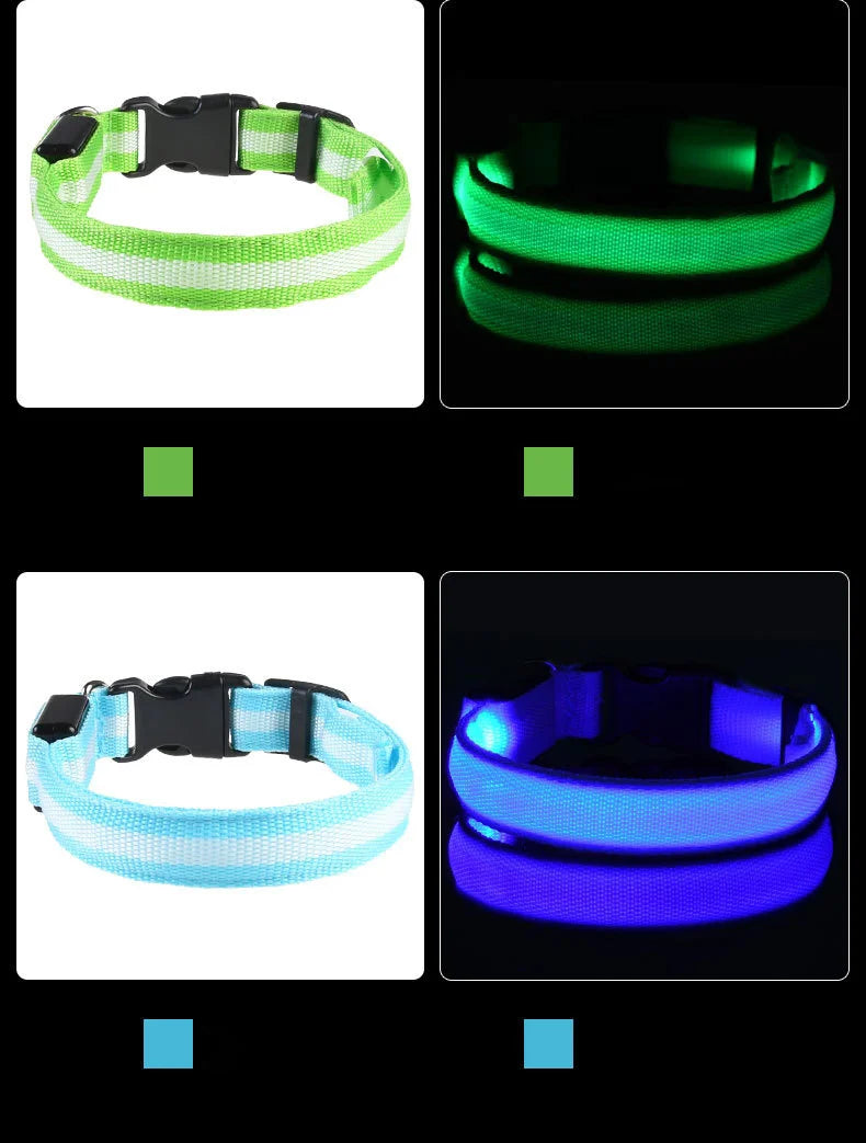 Nylon LED Night Safety Flashing Glow In The Dark Dog Leash Dogs Luminous Fluorescent Pet Dog Collar