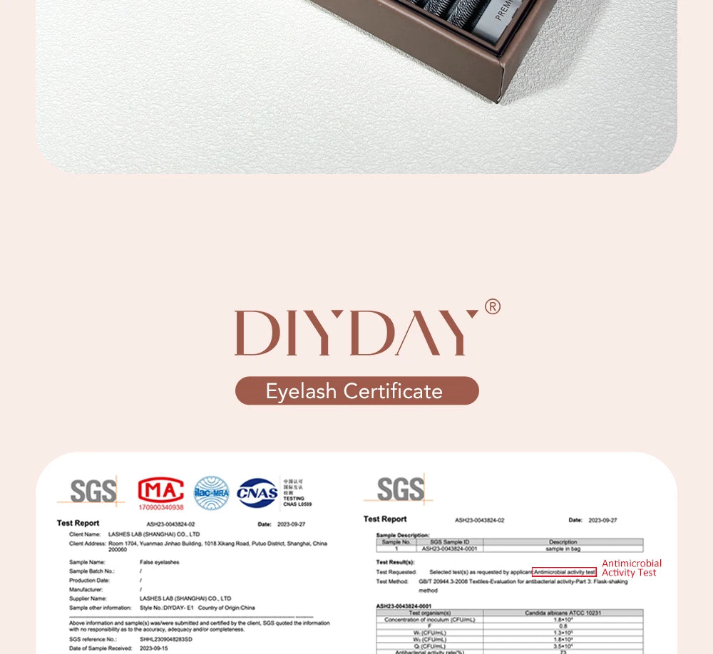 DIYDAY 7D 8D W Shape Eyelash Extension Premade Volume Fans W Shaped 3D 4D 5D 6D 7D 8D False Lashes for Makeup