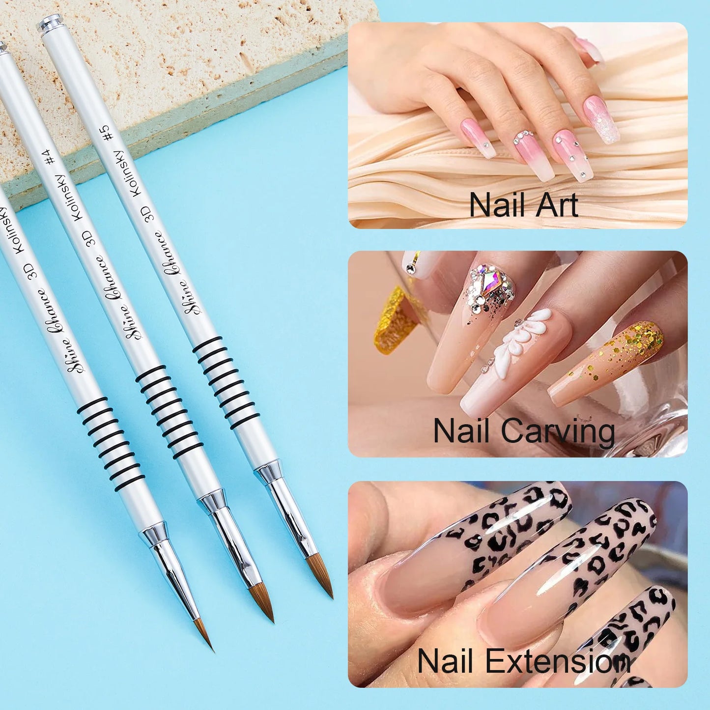 3pcs Kolinsky Acrylic Nail Brush Set Size 2/4/5 for Acrylic Powder Application Brushes Art Extension & Carving Salon Home