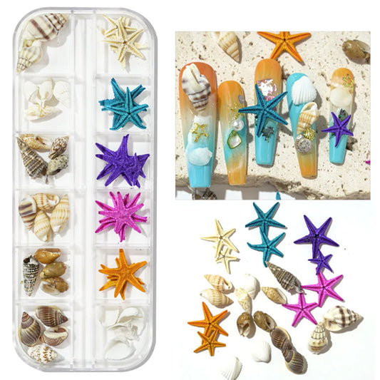 12-Grids Shell Starfish Conch Stone Nail Art Charms Sea Series 3D Irregular Slice Fragments Flakes Nail Art Rhinestones