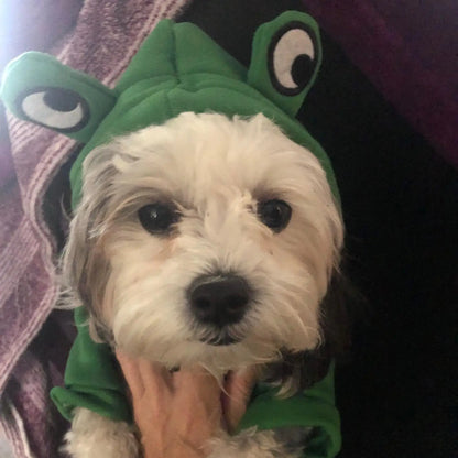 Cute Dog Hoodie Frog Shape Dog Coats Pet Halloween Cosplay Costume Dog Cat Coats with Hat Dogs Hooded Sweatshirt for Puppies Cat