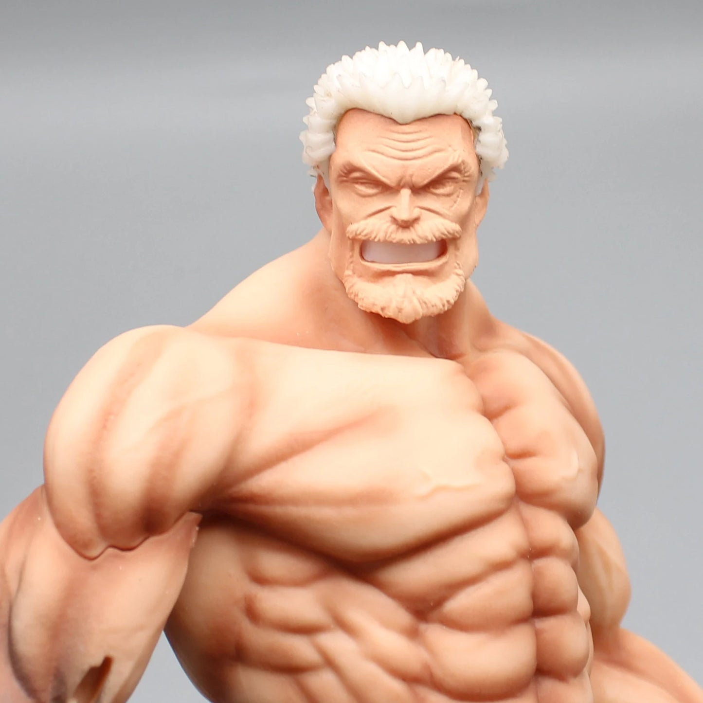 Monkey D Garp 26cm One Piece Anime Figures Standing Posture Gk Sculpture Scene Handmade Pvc Ornament Model Desktop For Toy Gifts